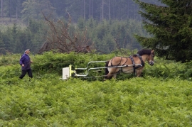 Travaux forestiers avec chevaux de trait.