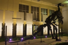 Musée des iguanodons à Bernissart