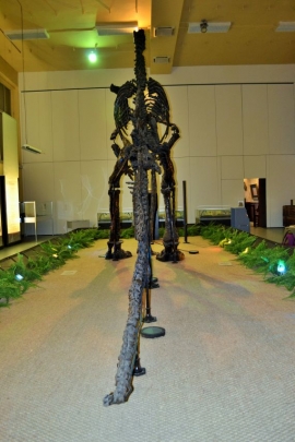 Musée des iguanodons à Bernissart