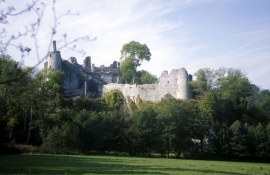 Ruine du château de Montaigle.