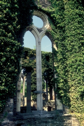 Abbaye de Villers-la-Ville