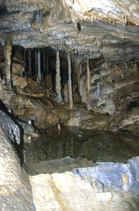 Grottes de Han-sur-Lesse.