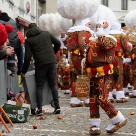 Carnaval de Morlanwelz.