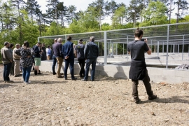 En partenariat avec Infrabel et le Service public de Wallonie, le Domaine des grottes de Han (Rochefort) a inauguré, le 22 mai 2017, un centre de sauvegarde de couleuvres coronelles, l'une des trois espèces de serpent recensées en Belgique.