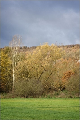 Paysage d'automne à Jemeppe-sur-Sambre.