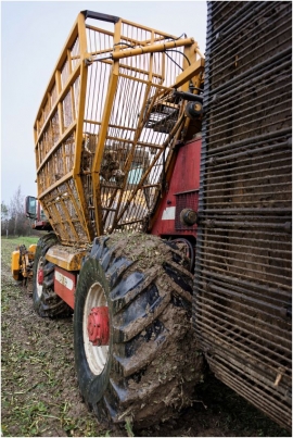 Machine agricole lors de la récolte de betteraves sucrières à Leuze (Eghezée).