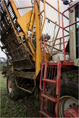 Machine agricole lors de la récolte de betteraves sucrières à Leuze (Eghezée).