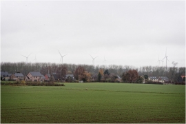 Champs après la récolte de betteraves sucrières à Leuze (Eghezée).